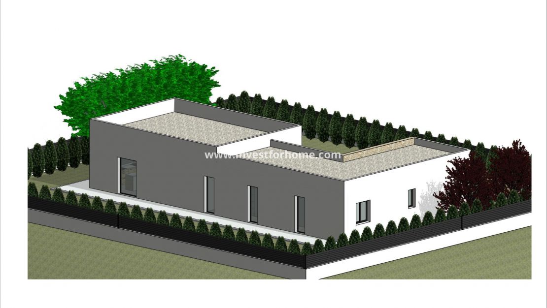 Nouvelle construction - Villa - Pinoso - Lel