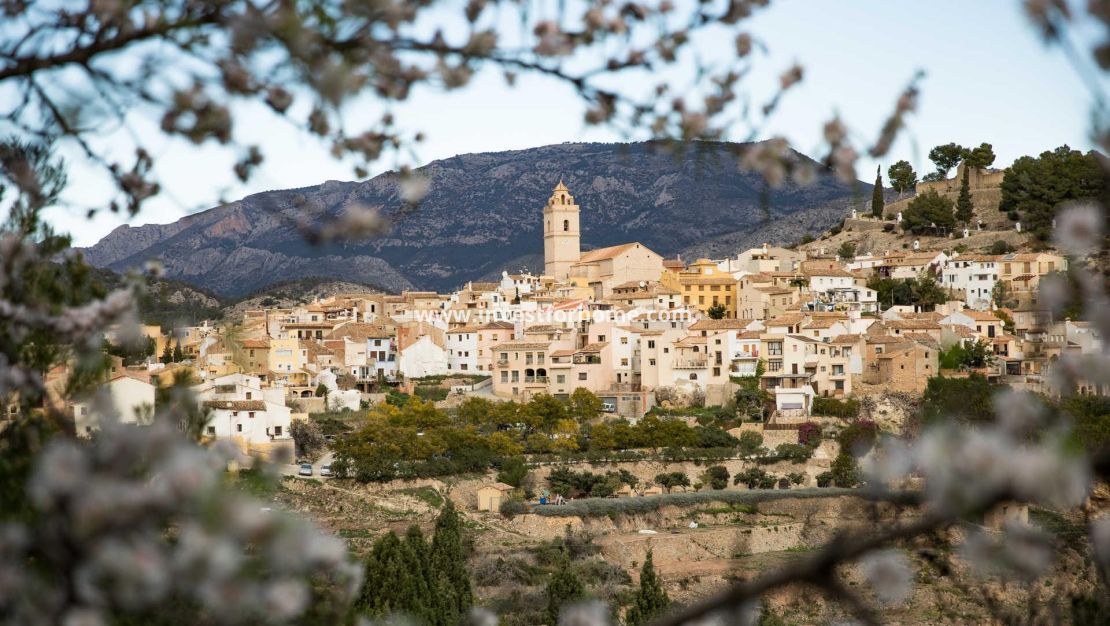 Nouvelle construction - Villa - Polop - Polop Hills