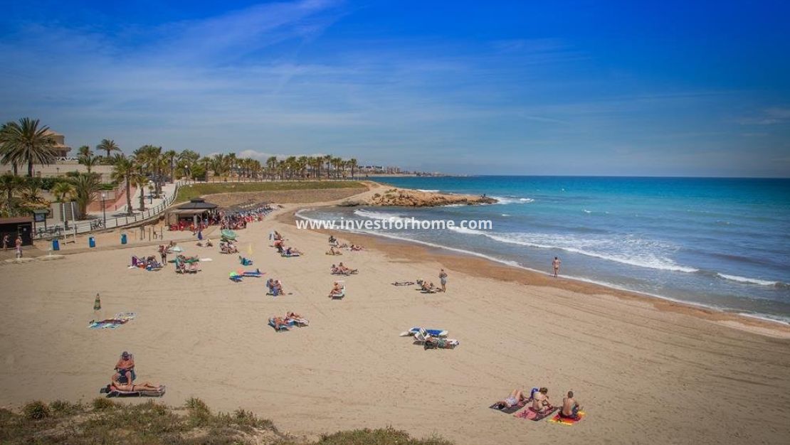 Nouvelle construction - Villa - San Miguel de Salinas - Blue Lagoon