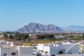 Nueva construcción - Apartamento - Benijofar