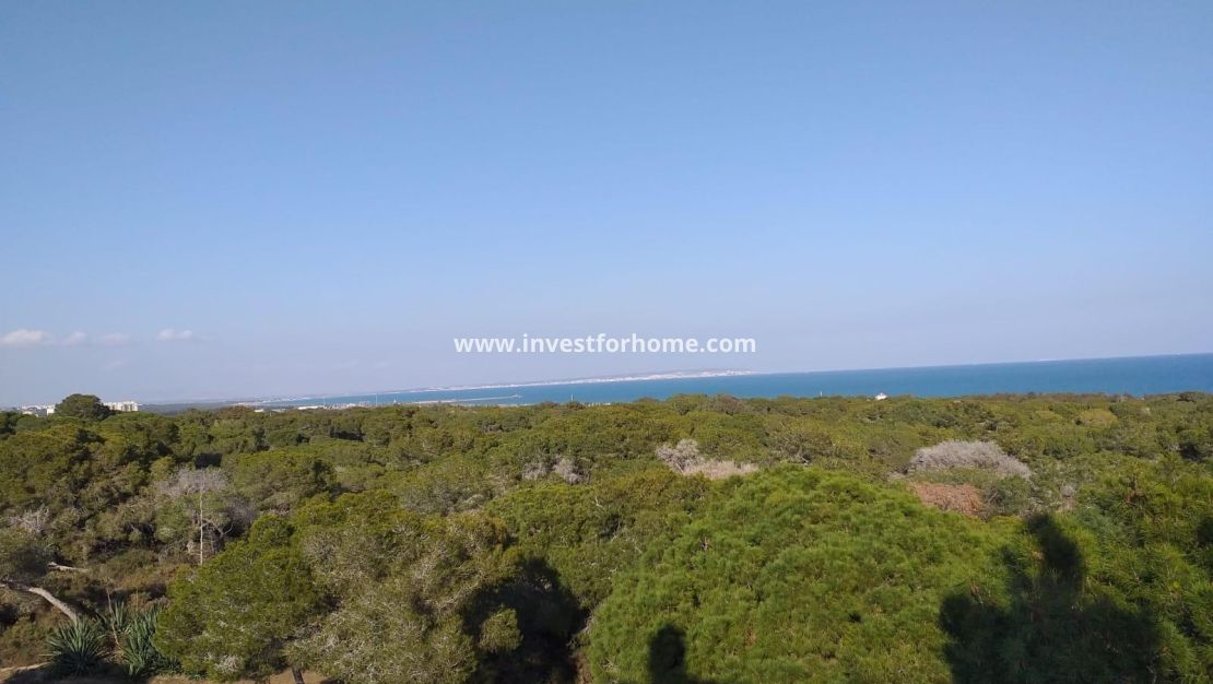 Nueva construcción - Apartamento - Guardamar del Segura - Pueblo