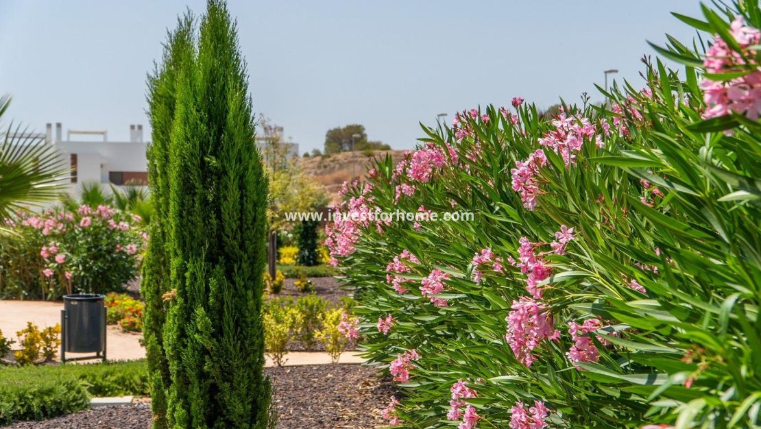 Nueva construcción - Bungalow - Orihuela Costa - Vistabella Golf