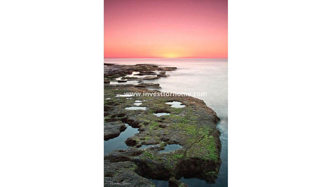 Nueva construcción - Bungalow - Torrevieja - Altos del Sol