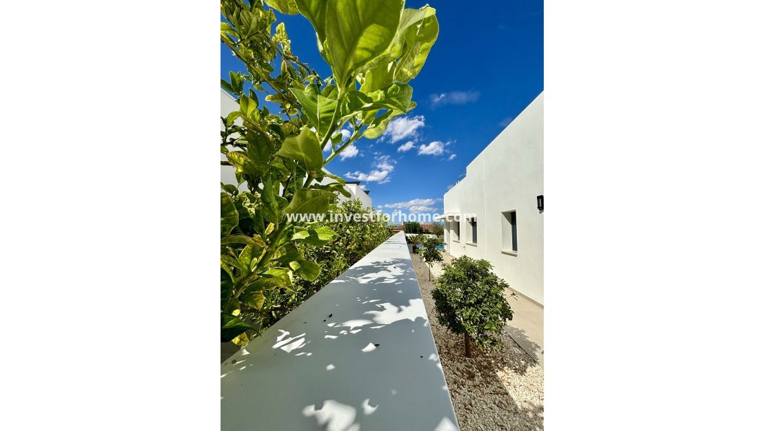 Nueva construcción - Casa - Benijofar