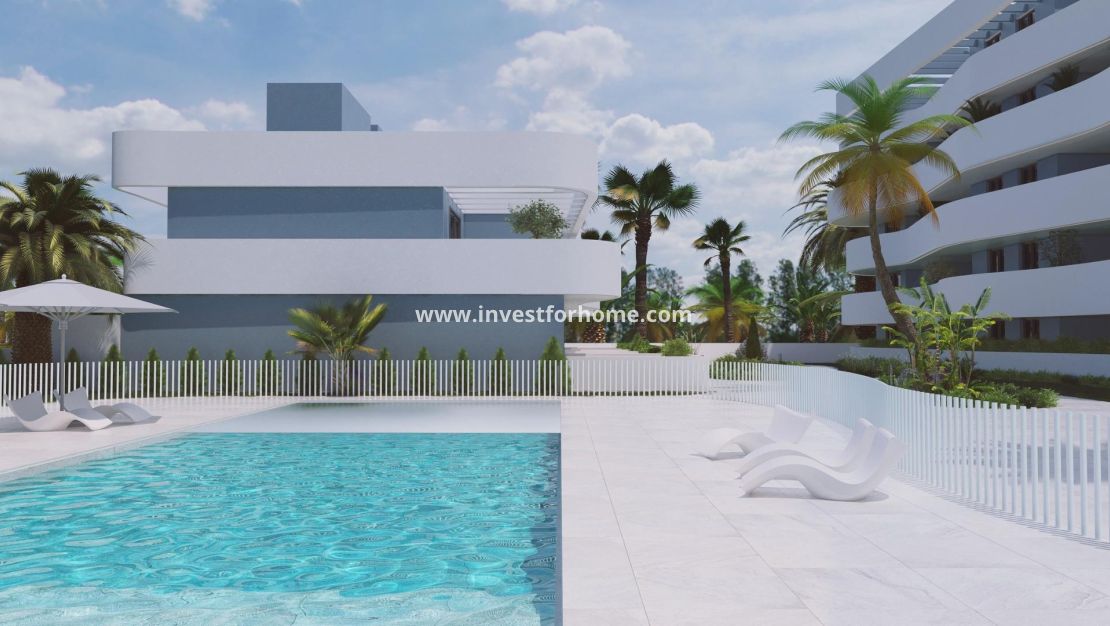 Nueva construcción - Casa - Guardamar del Segura - El Raso