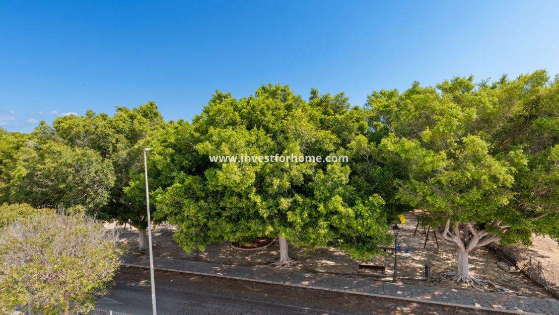 Nueva construcción - Casa - Pilar de la Horadada