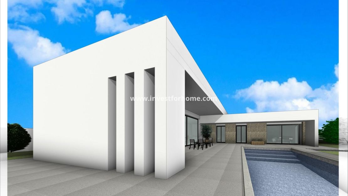 Nueva construcción - Chalet - Aspe - Poligono 19