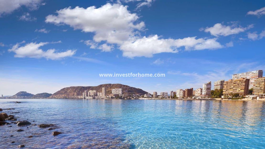 Nueva construcción - Chalet - Els Poblets - Partida Barranquets