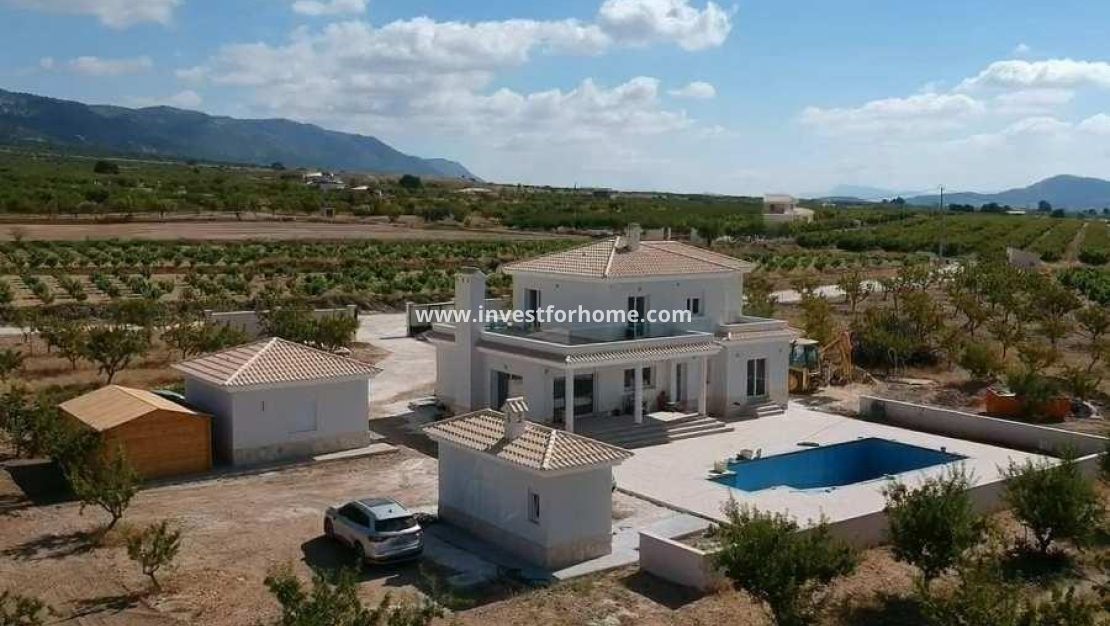 Nueva construcción - Chalet - Pinoso - Camino Del Prado