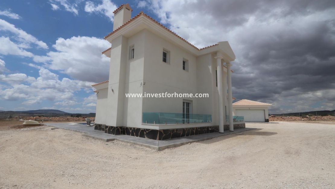 Nueva construcción - Chalet - Pinoso - Camino Del Prado