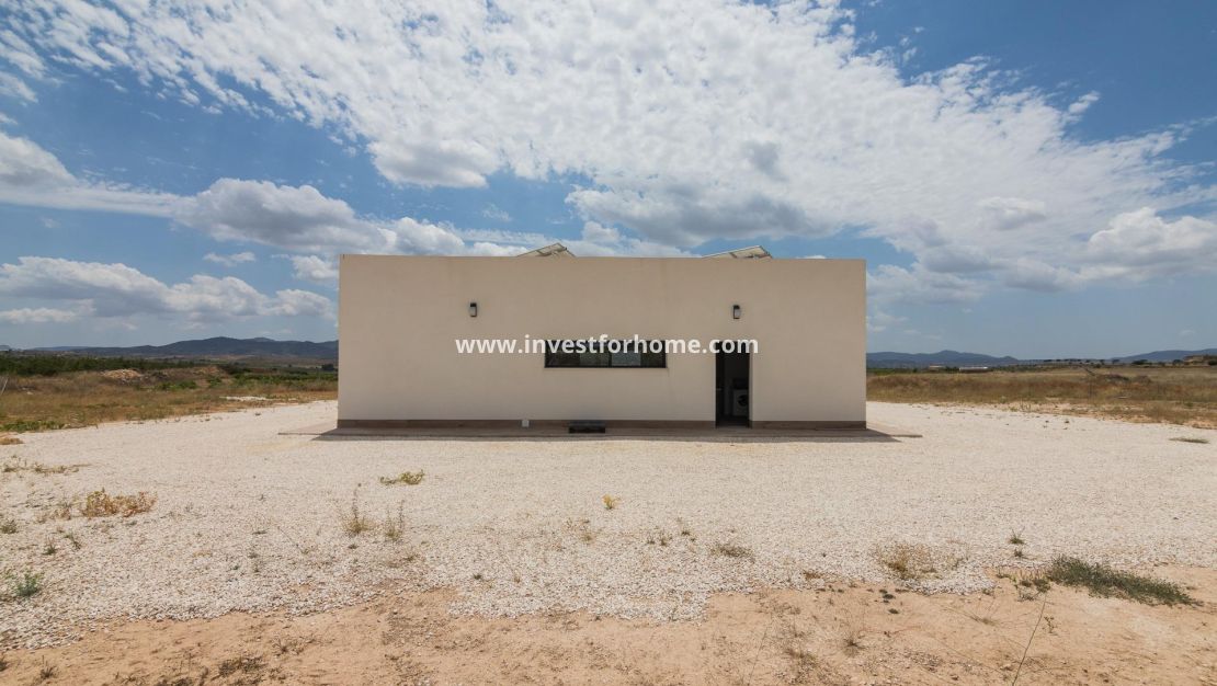 Nueva construcción - Chalet - Pinoso - Campo