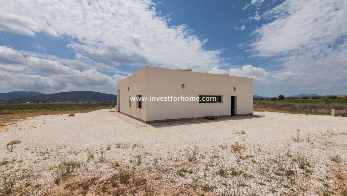 Nueva construcción - Chalet - Pinoso - Campo