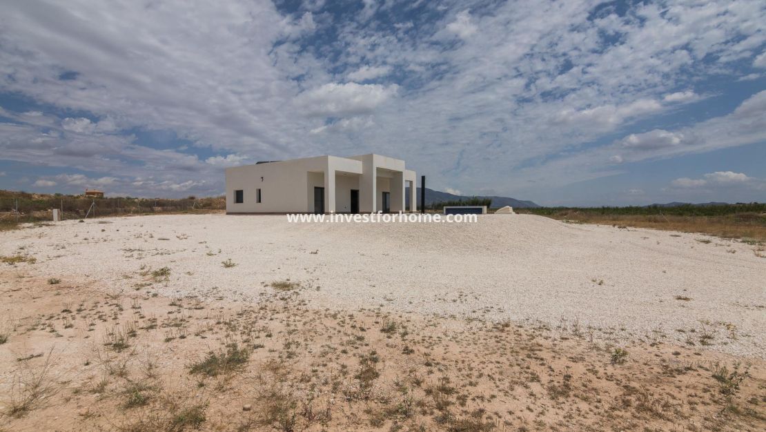 Nueva construcción - Chalet - Pinoso - Campo