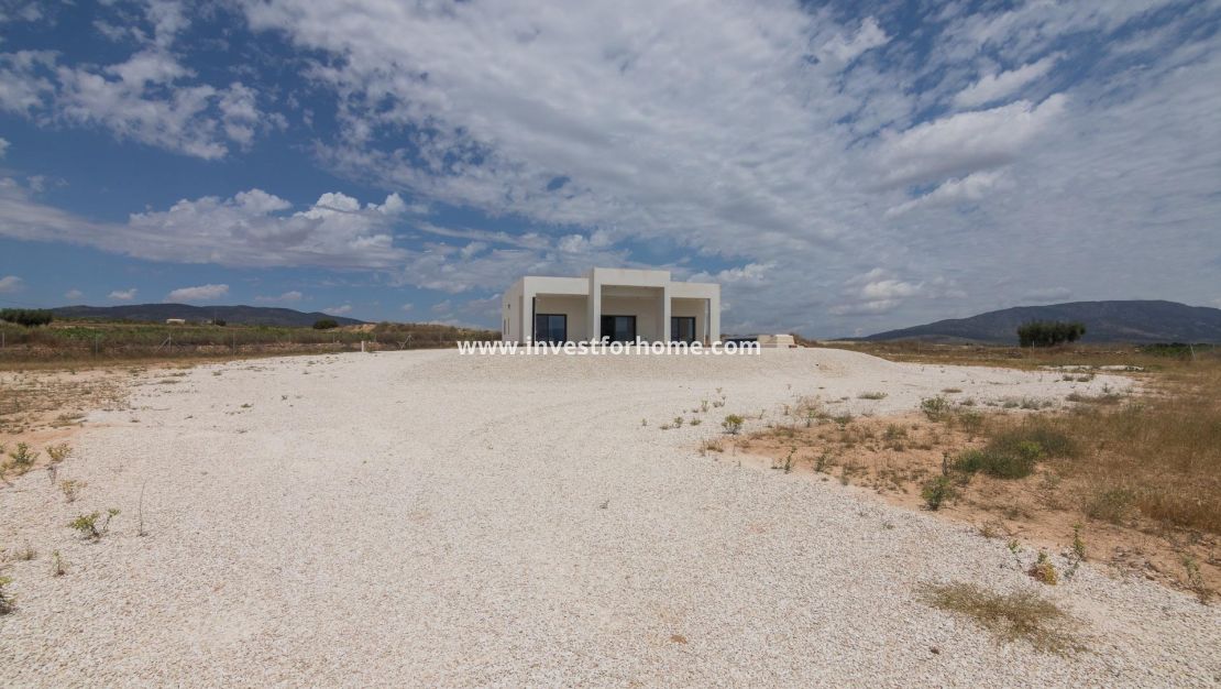 Nueva construcción - Chalet - Pinoso - Campo