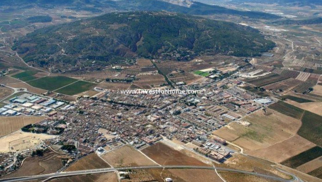 Nueva construcción - Chalet - Pinoso - Campo