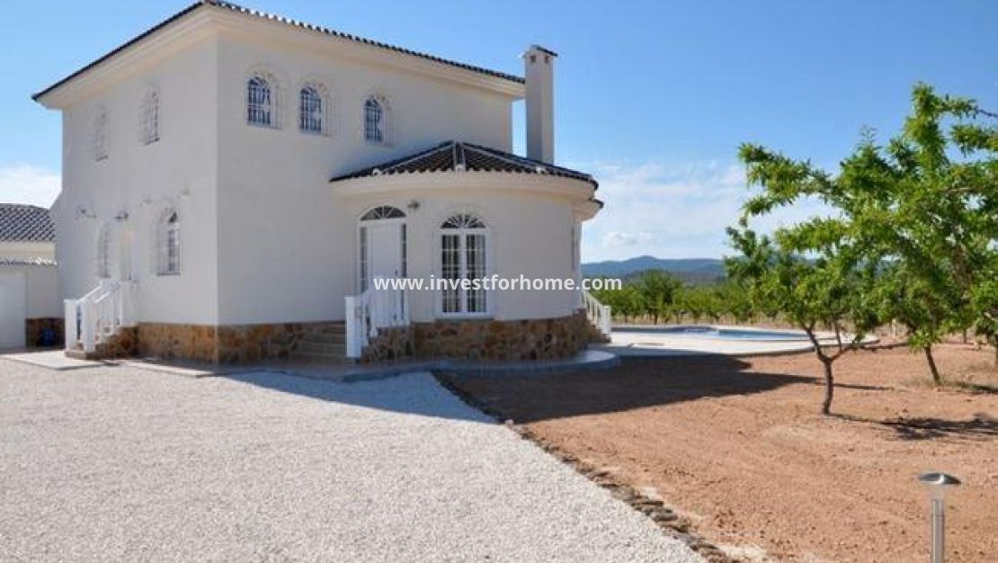 Nueva construcción - Chalet - Pinoso - Campo