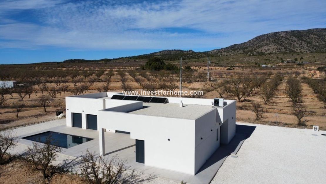 Nueva construcción - Chalet - Pinoso - Campo