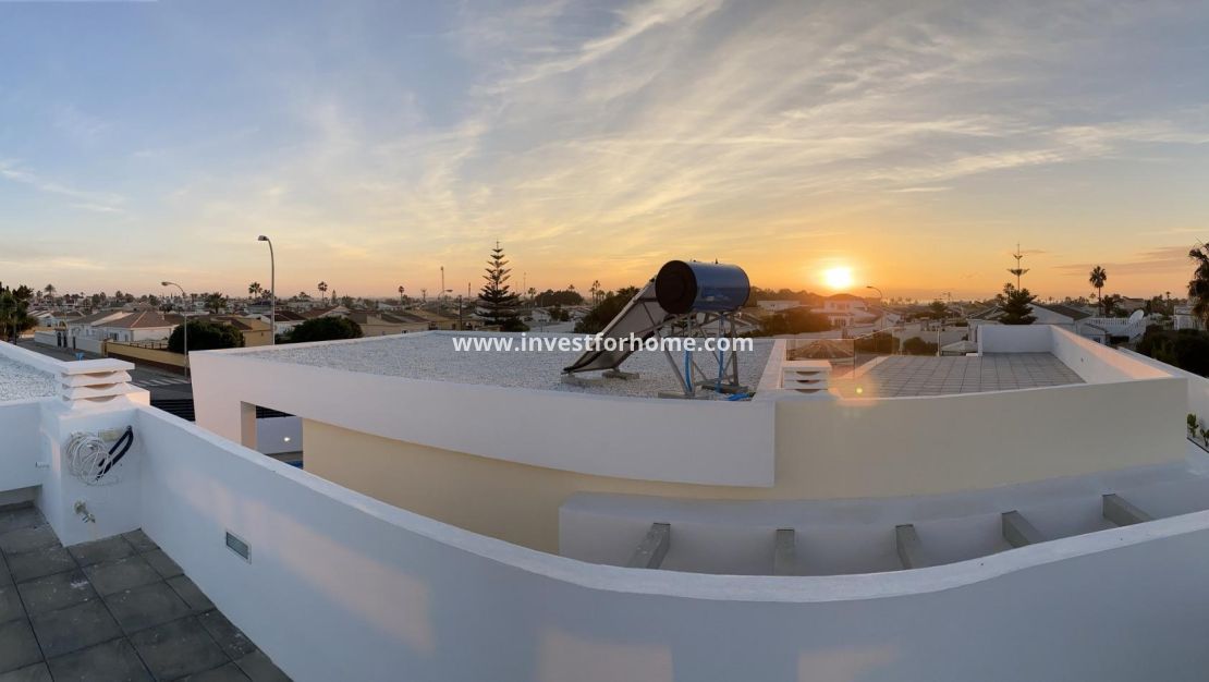 Nueva construcción - Chalet - Torrevieja - Torreta Florida