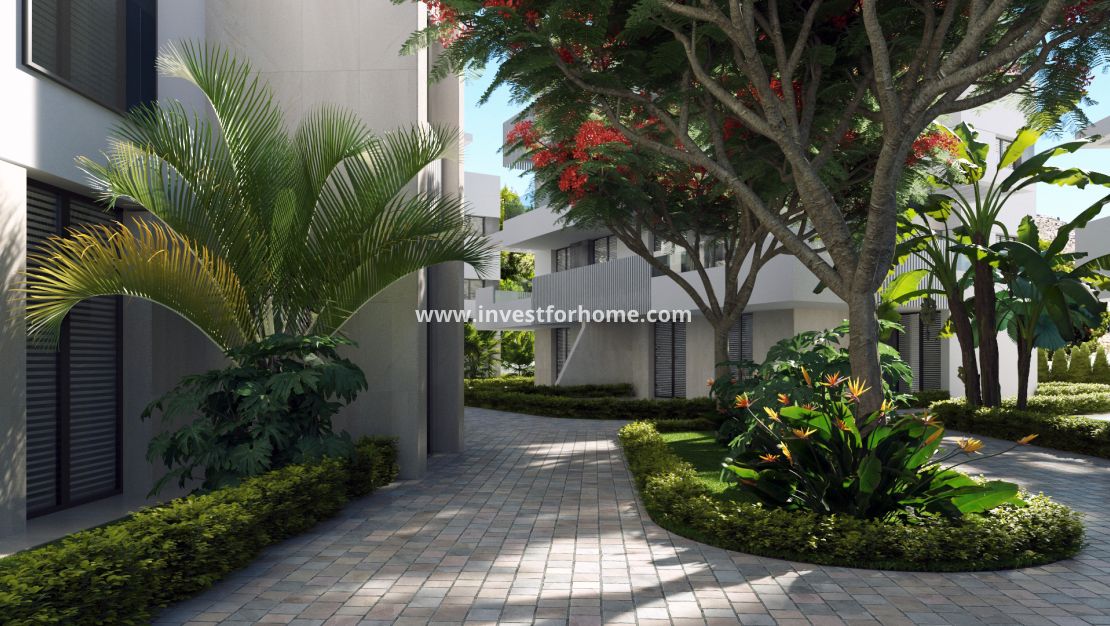 Nueva construcción - ground-floor - Santa Rosalia - Santa Rosalía