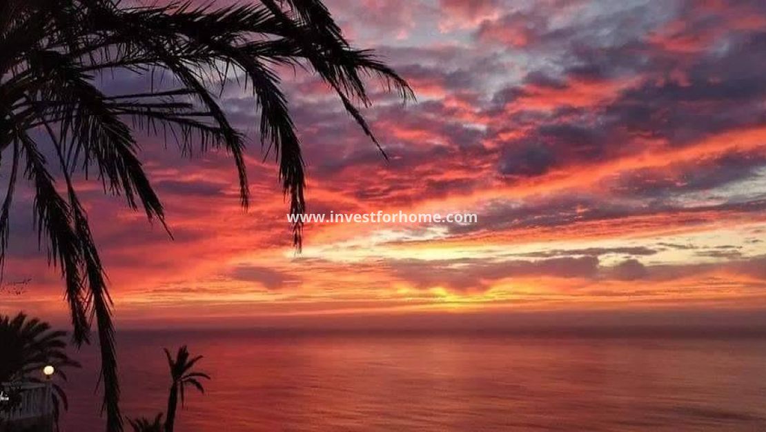 Nybyggnad - Bungalow - Torrevieja - Altos del Sol