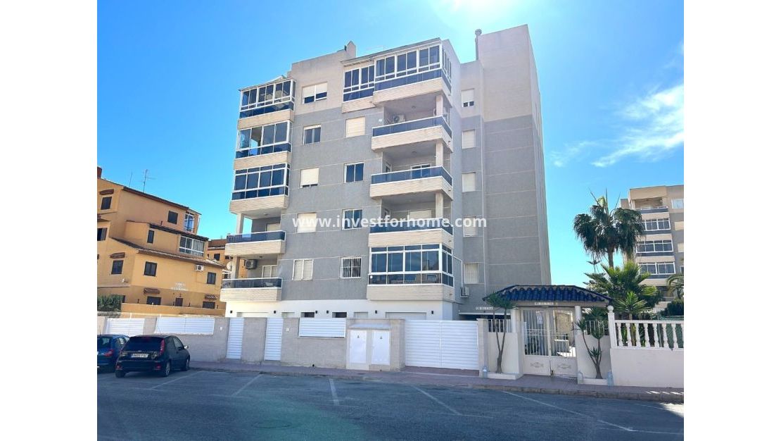 Nybyggnad - ground-floor - Torrevieja - Centro