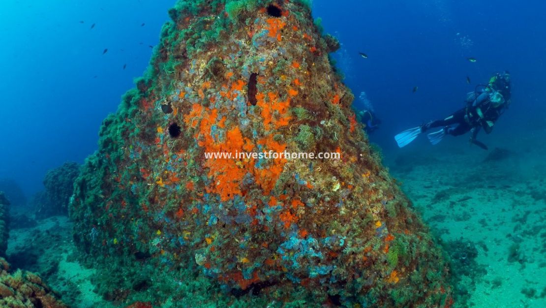 Nybyggnad - Lägenhet - Aguilas - Isla del Fraile