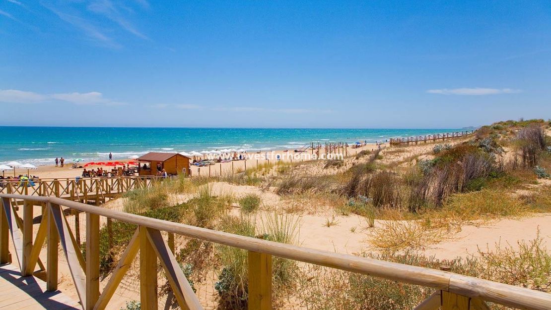 Nybyggnad - Lägenhet - Guardamar del Segura - Pueblo