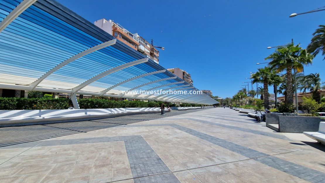 Nybyggnad - Lägenhet - Torrevieja - Playa de los Locos