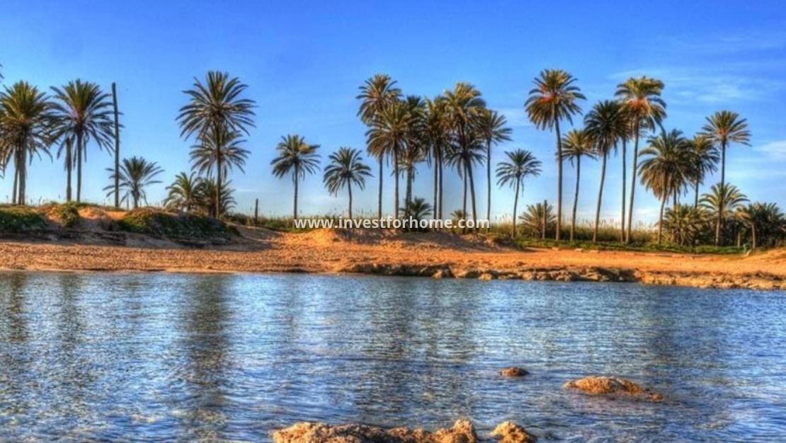 Nybyggnad - Lägenhet - Torrevieja - Playa del Cura