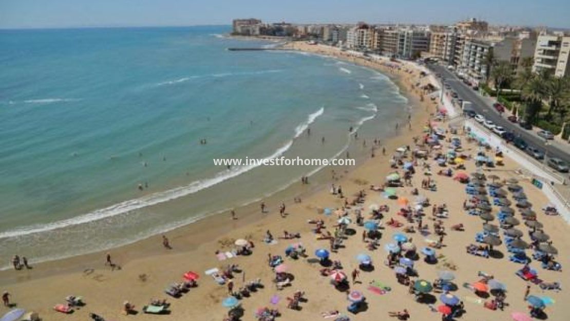 Nybyggnad - Lägenhet - Torrevieja - Playa del Cura