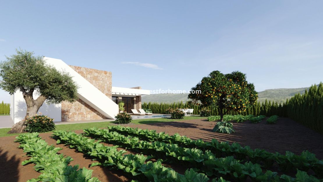 Nybyggnad - Villa - Fuente Álamo - Hacienda del Alamo