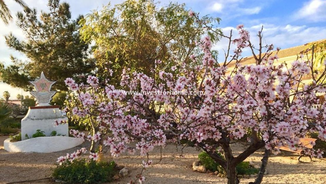 Nybyggnad - Villa - Los Urrutias - Estrella de Mar