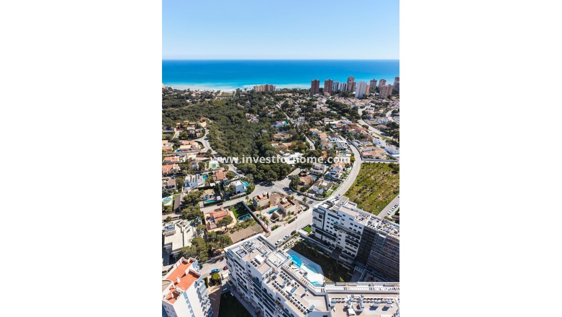 Nybyggnad - Villa - Orihuela Costa - Dehesa de Campoamor