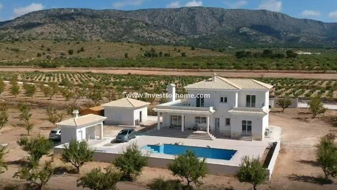 Nybyggnad - Villa - Pinoso - Camino Del Prado