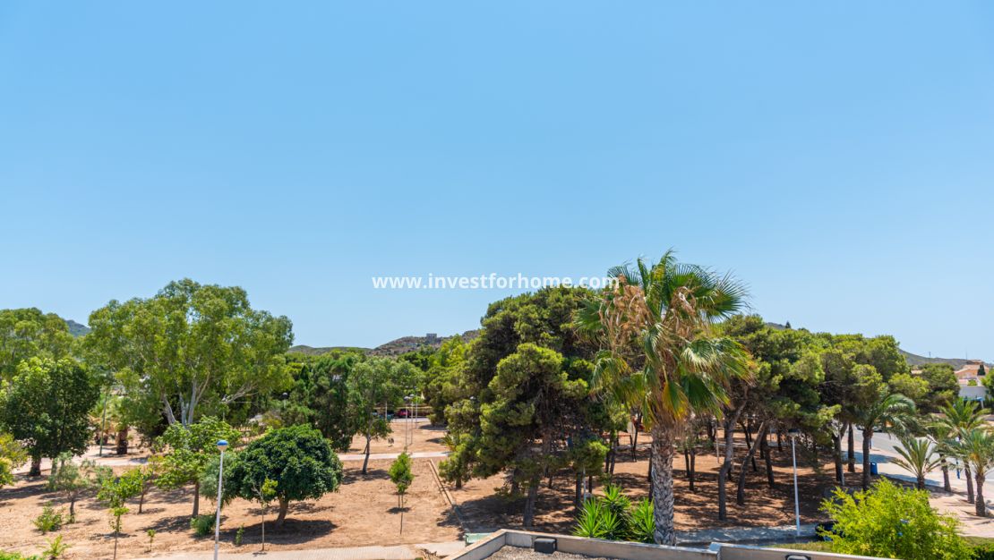 Nybyggnad - Villa - Playa Paraiso
