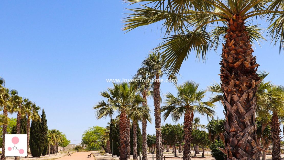 Nybyggnad - Villa - San Fulgencio - La Escuera