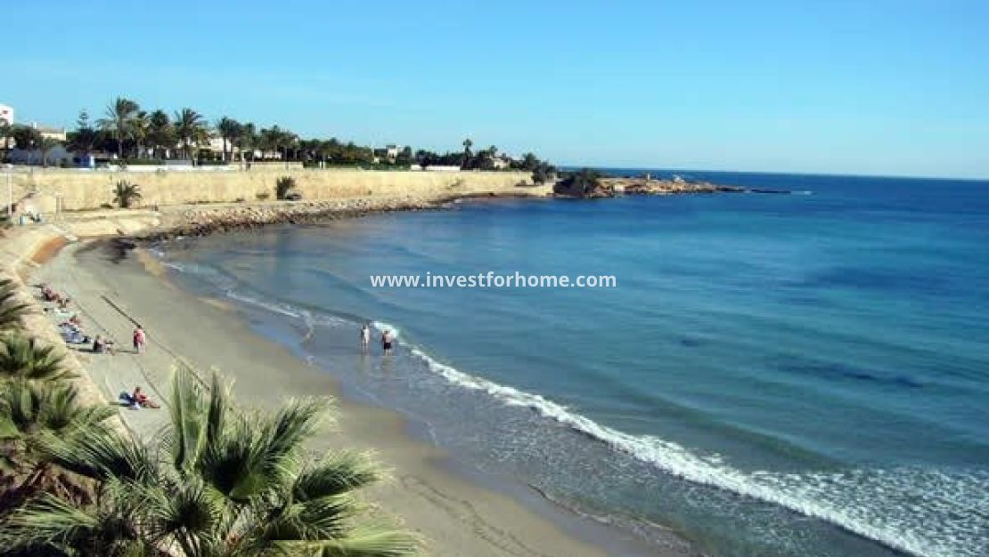 Nybyggnad - Villa - San Miguel de Salinas - Blue Lagoon