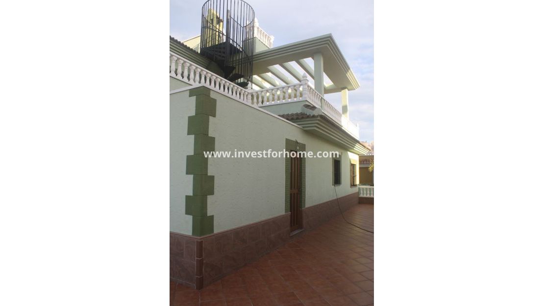 Nybyggnad - Villa - Torrevieja - Centro