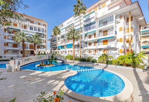 Penthouse - Försäljning - Torrevieja - Los Europeos