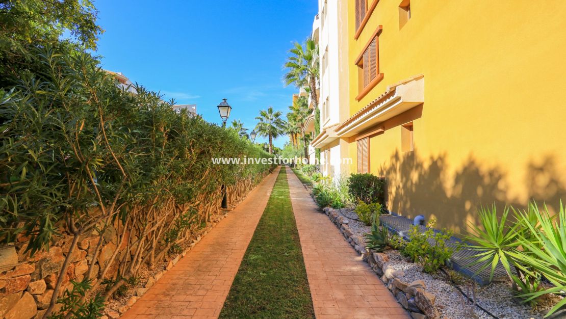 Punta prima, Orihuela costa, Torrevieja, La recoleta, nautilus, Playa Flamenca