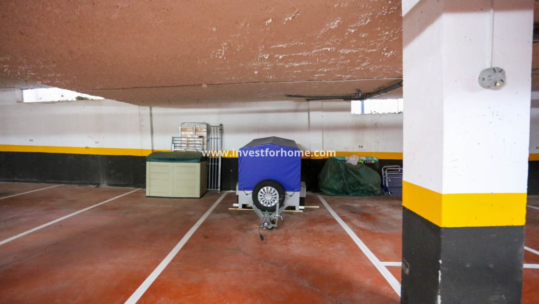 Punta prima, Orihuela costa, Torrevieja, La recoleta, nautilus, Playa Flamenca