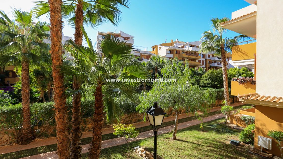Punta prima, Orihuela costa, Torrevieja, La recoleta, nautilus, Playa Flamenca