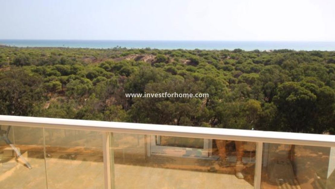 Reventa - Apartamento - Guardamar del Segura - Avenida del Puerto