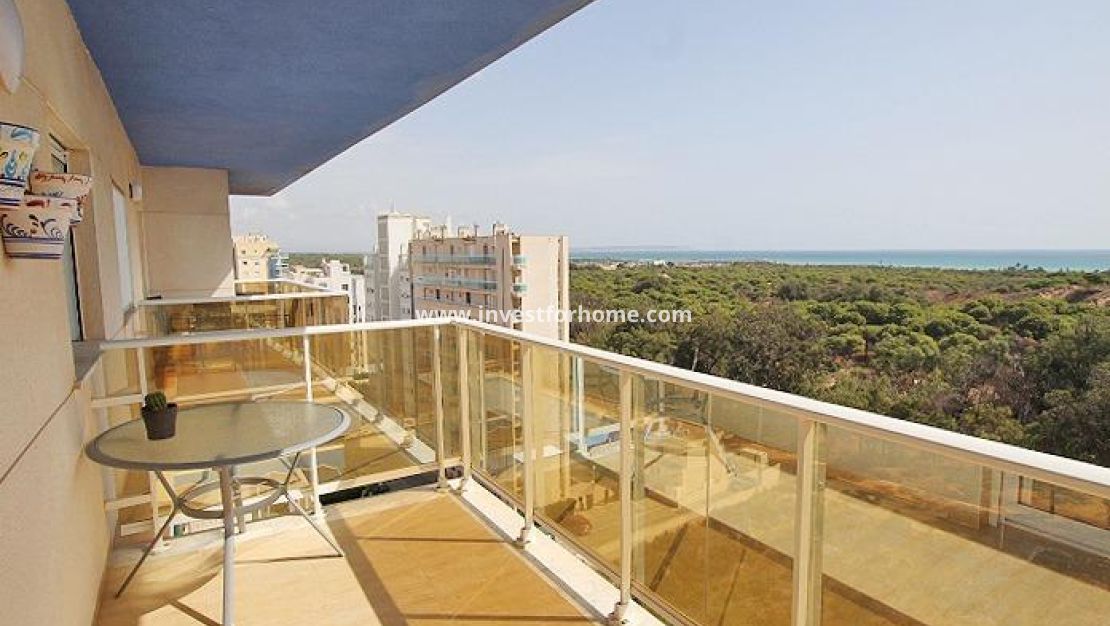 Reventa - Apartamento - Guardamar del Segura - Avenida del Puerto