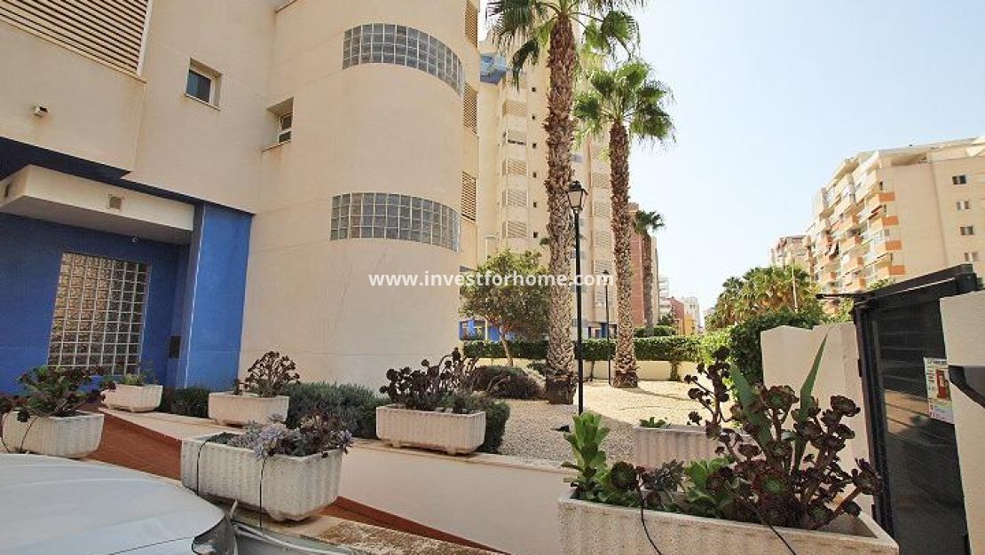 Reventa - Apartamento - Guardamar del Segura - Avenida del Puerto