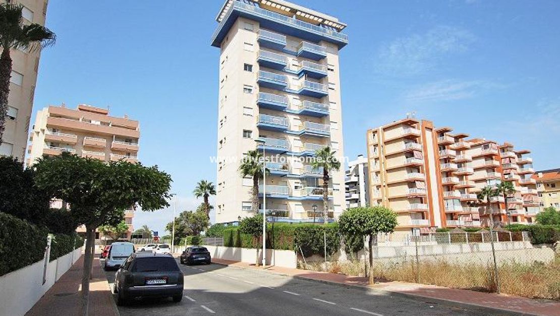 Reventa - Apartamento - Guardamar del Segura - Avenida del Puerto