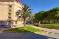 Reventa - Apartamento - Guardamar del Segura - Centro