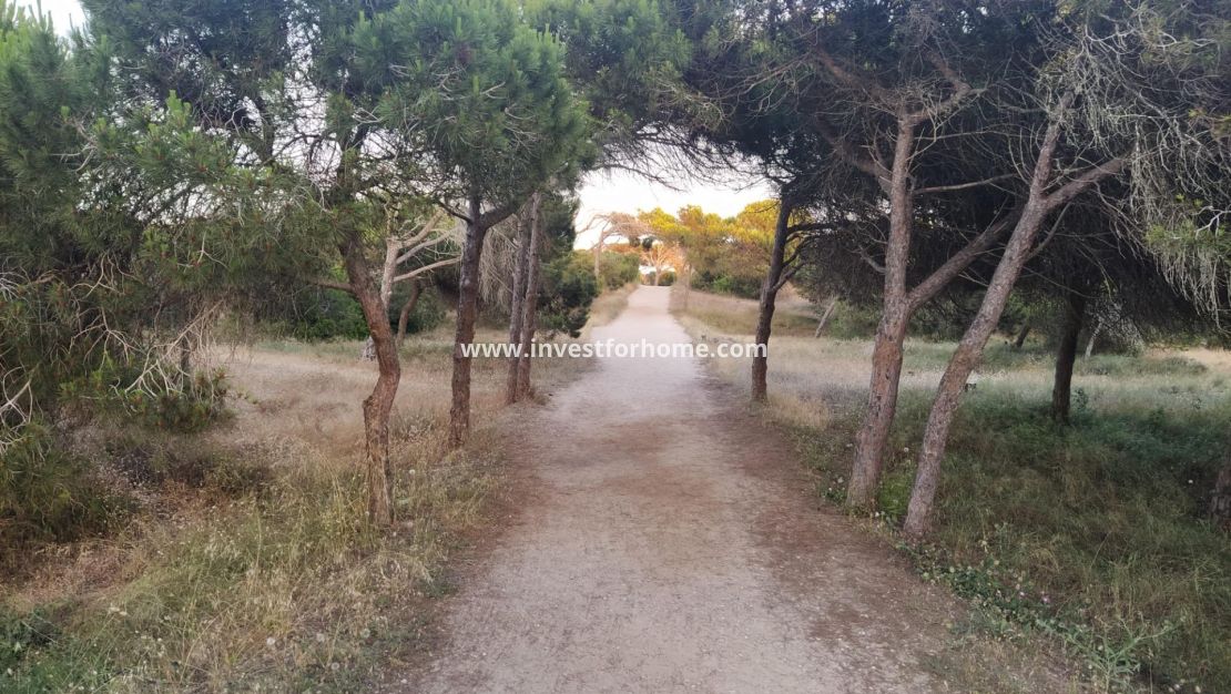 Reventa - Apartamento - Guardamar del Segura - Pinomar