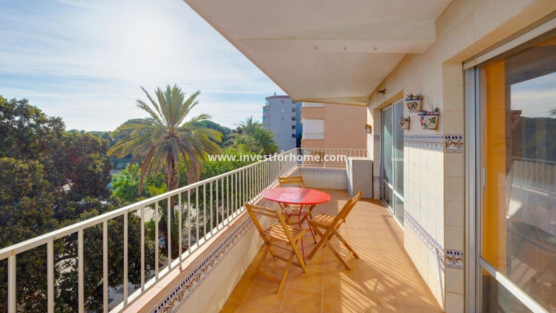 Reventa - Apartamento - Guardamar del Segura - Pinomar