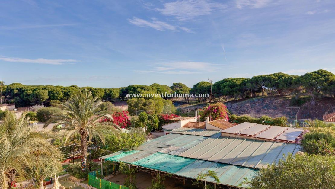 Reventa - Apartamento - Guardamar del Segura - Pinomar